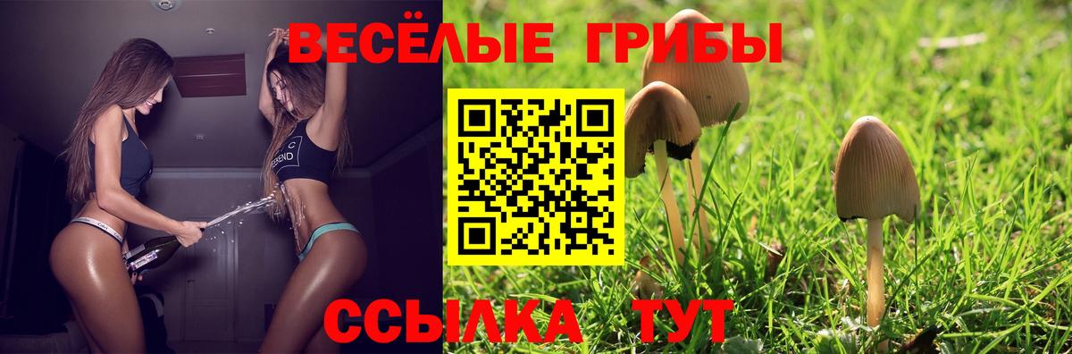 Псилоцибиновые грибы Psilocybine cubensis Усолье-Сибирское